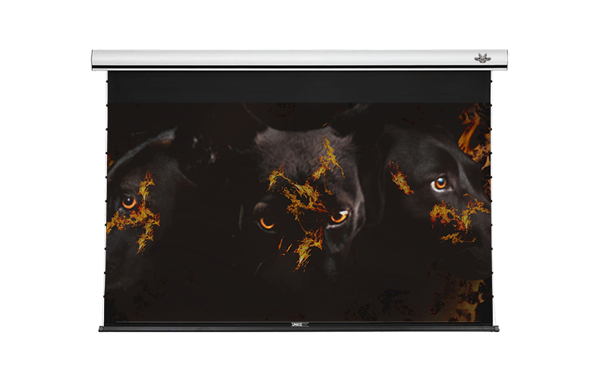 16：10 黑帝斯系列/長焦抗光線拉式電動布幕