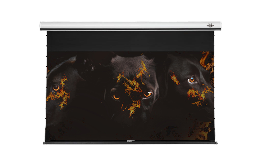 16：9 黑帝斯系列/長焦抗光線拉式電動布幕