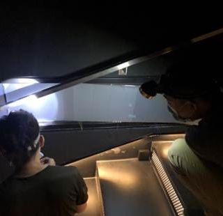 ALL_fac_26A05_Lxr7NdhmT1